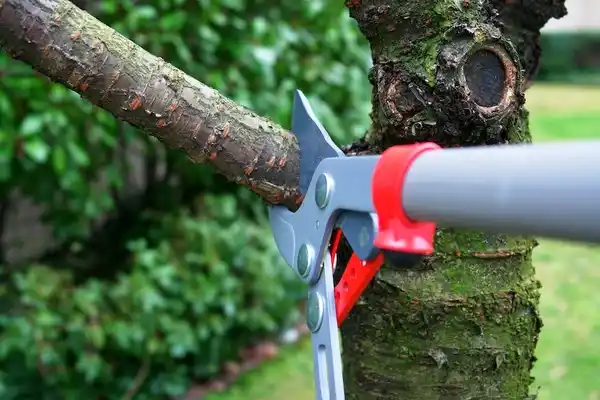 tree services York Haven